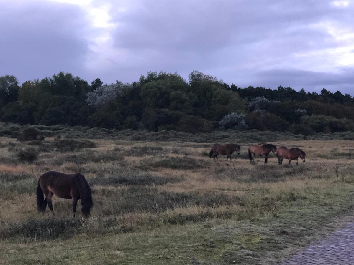 Familiehuis Achter De Duijnhoeve Zuidbakkum 외부 사진